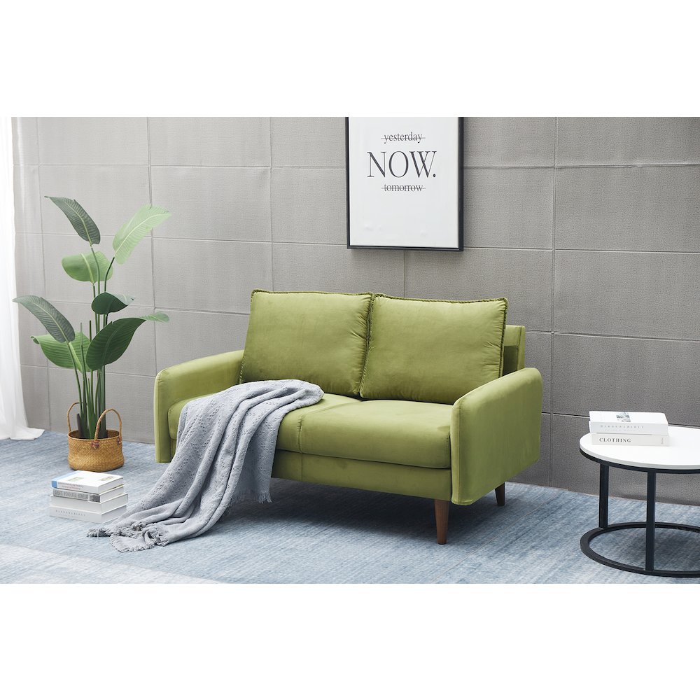 Jadier Velvet Living Room Loveseat. Picture 2