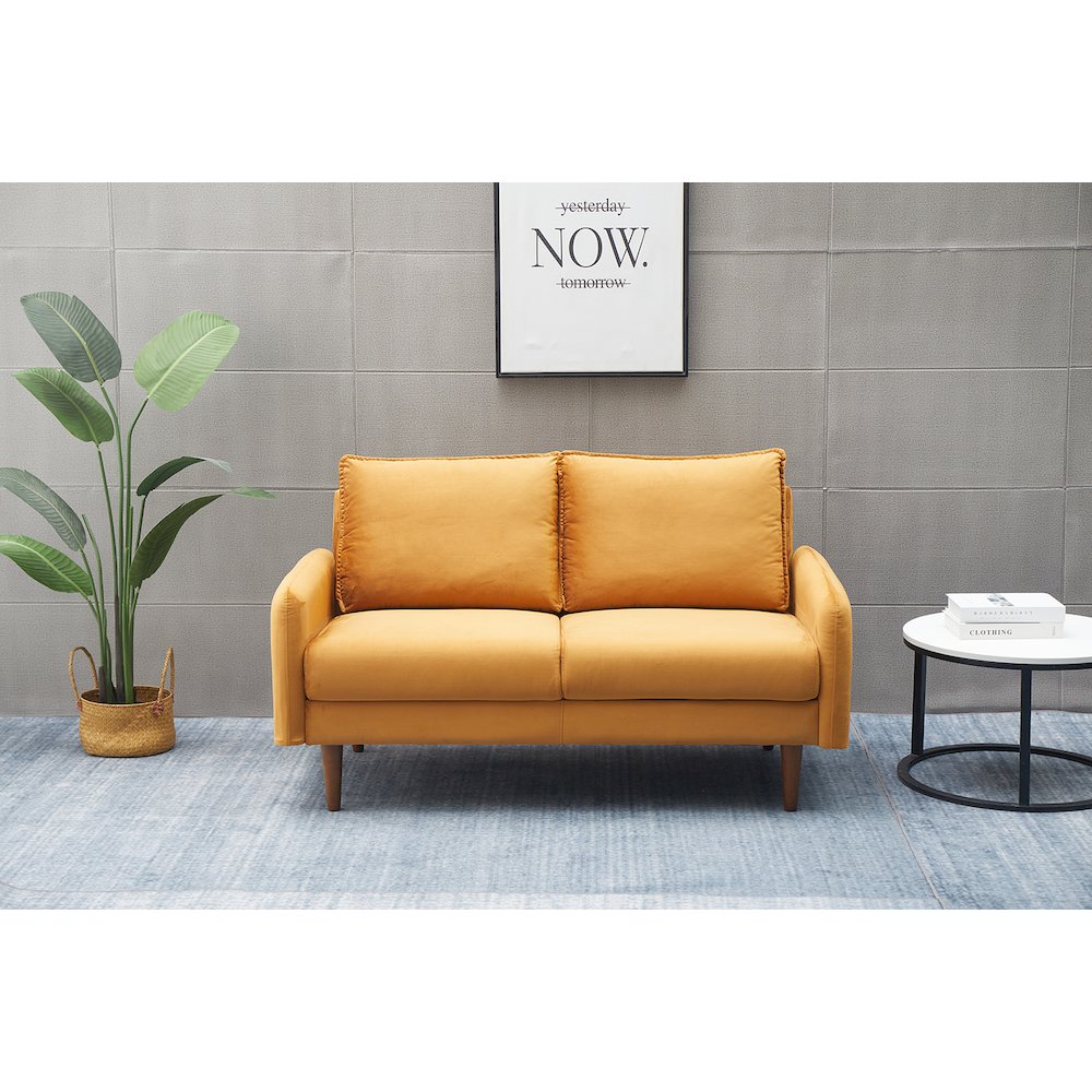 Jadier Velvet Living Room Loveseat. Picture 4