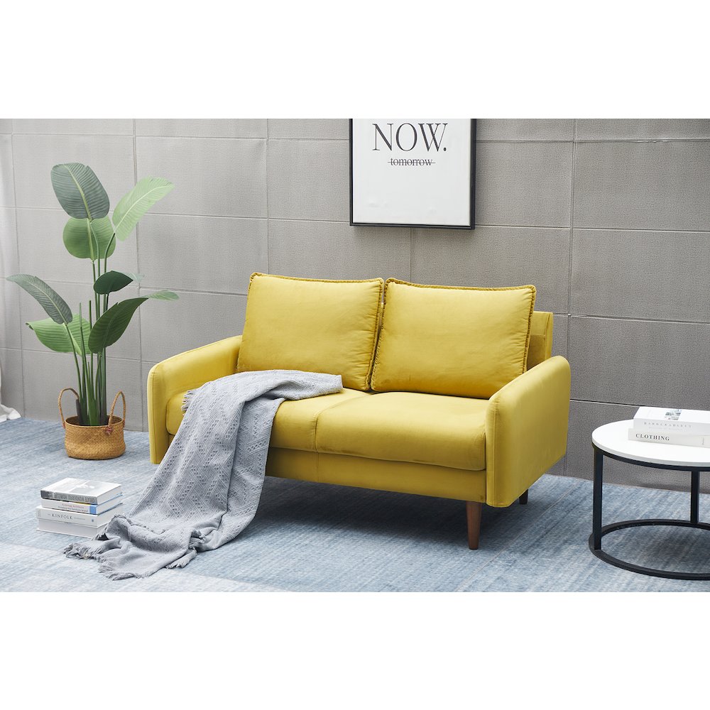 Jadier Velvet Living Room Loveseat. Picture 2