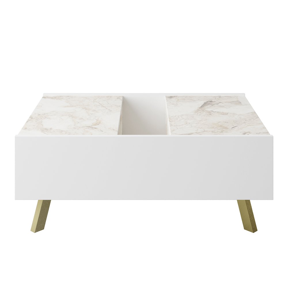 Frida Coffee Table - Ephesus Marble & Gold. Picture 1