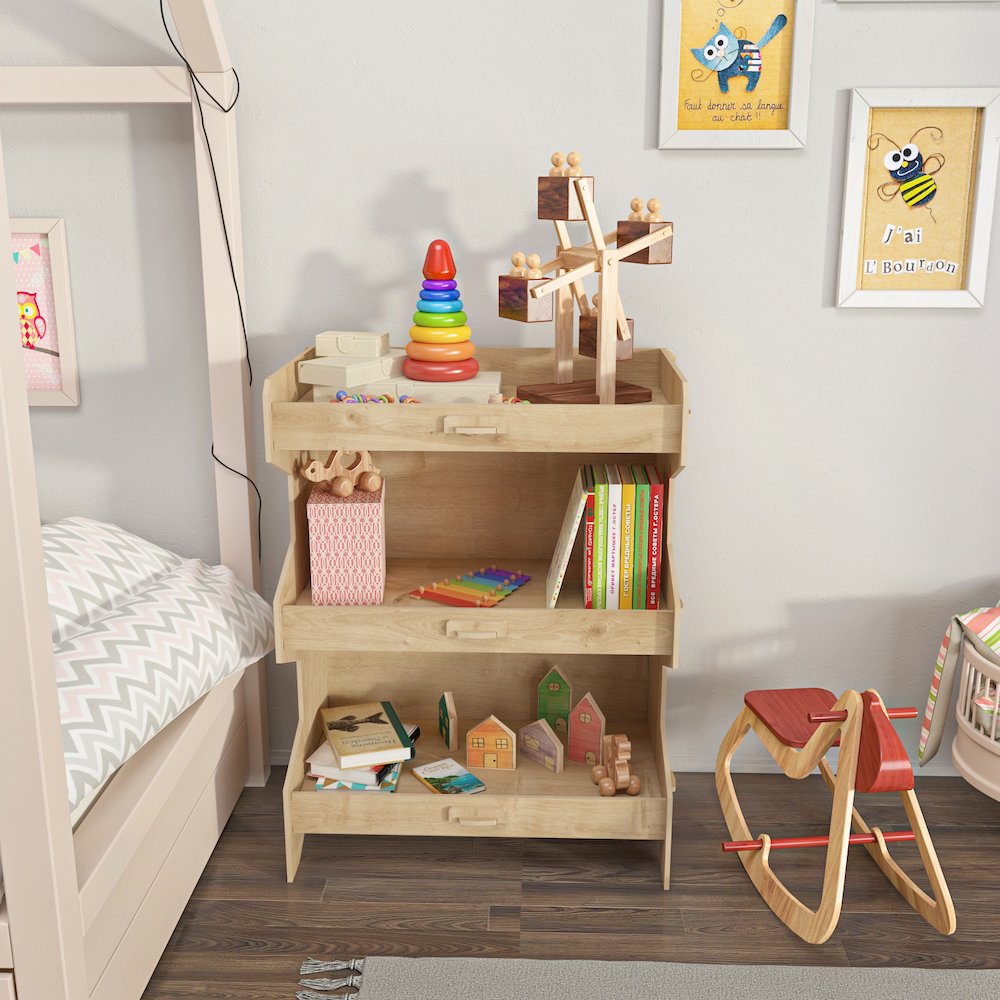Fesa Bookcase. Picture 4