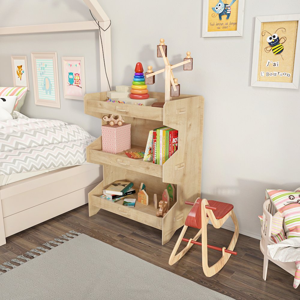 Fesa Bookcase. Picture 5