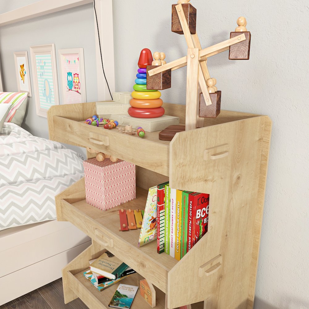 Fesa Bookcase. Picture 6