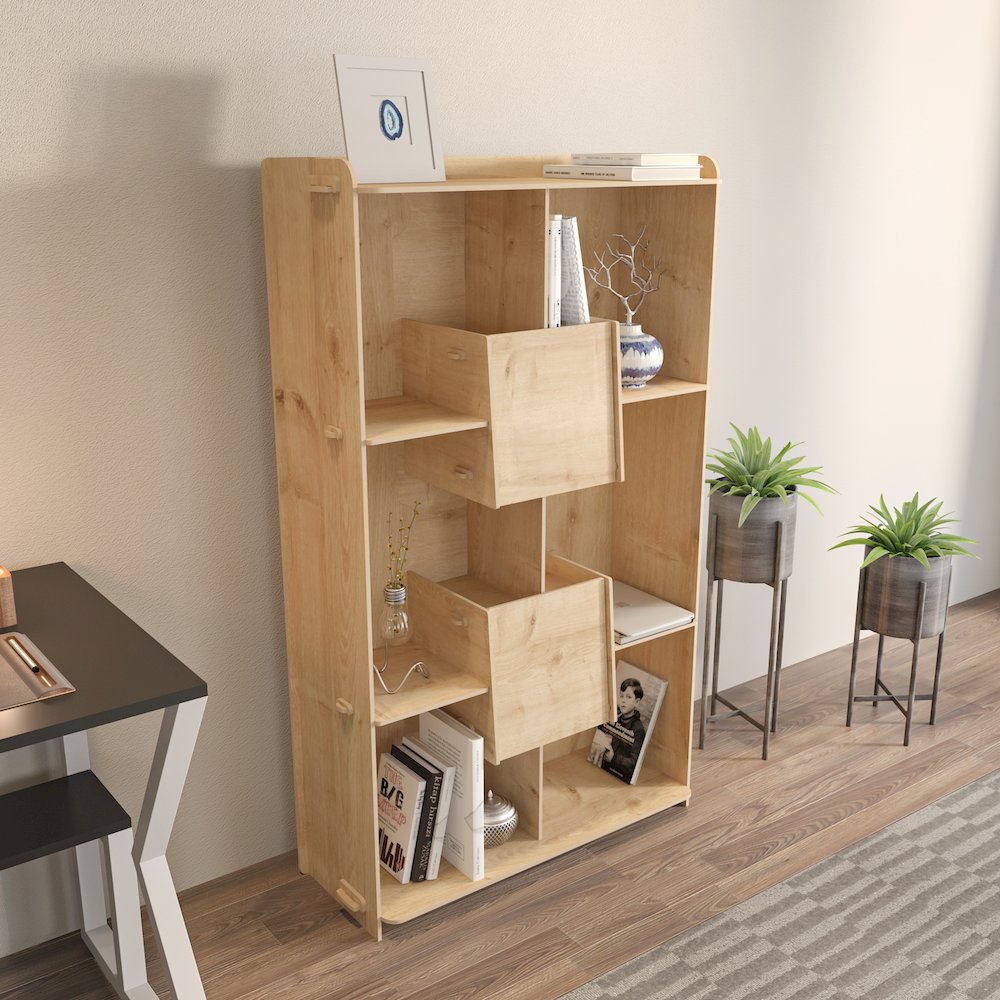 Pana Bookcase. Picture 5