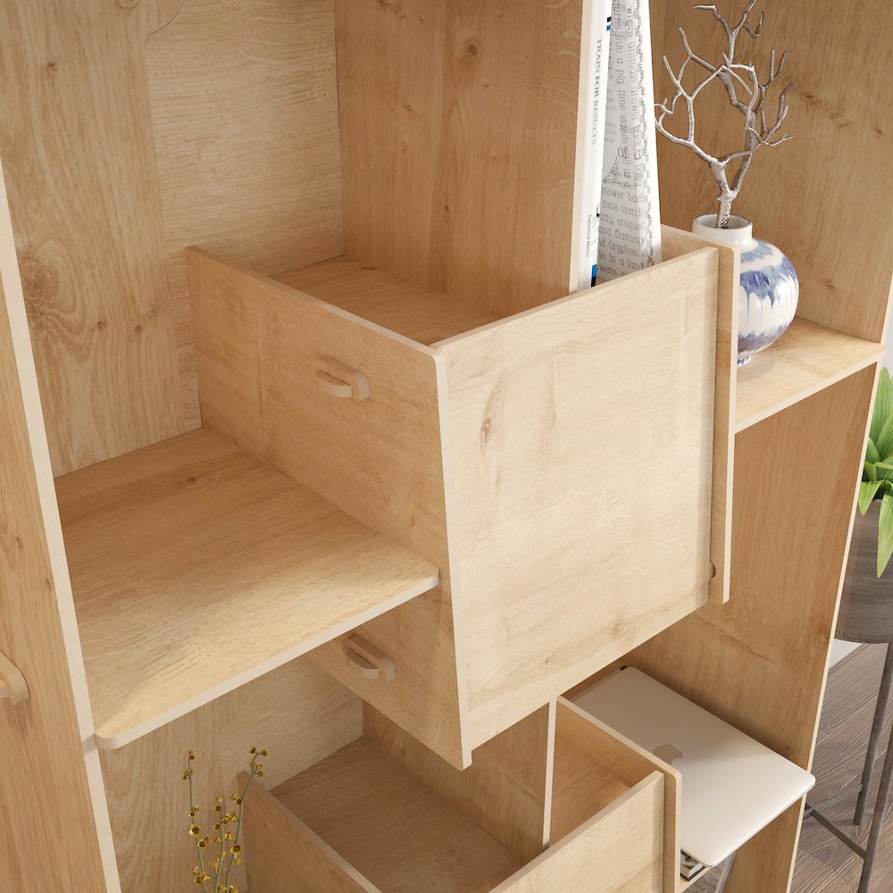 Pana Bookcase. Picture 7