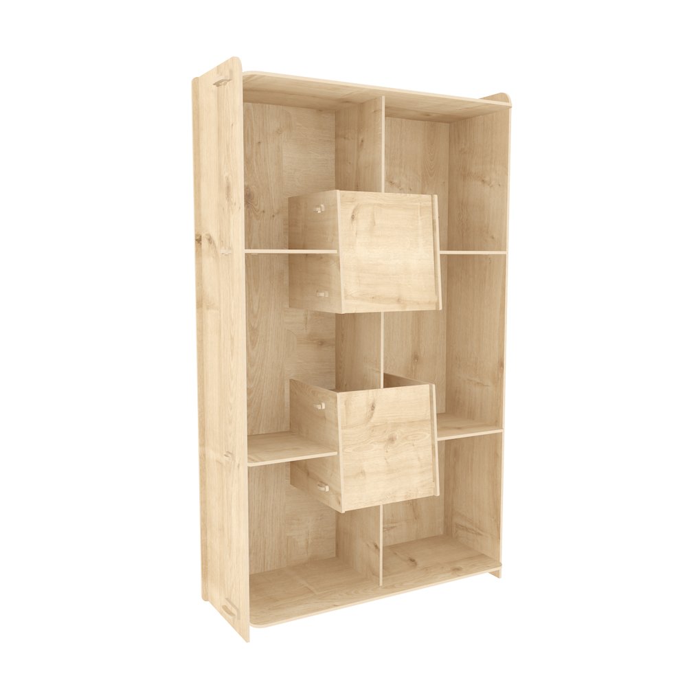 Pana Bookcase. Picture 1