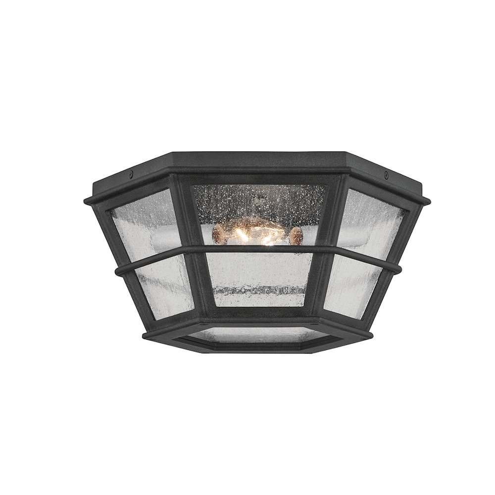 Lake County Exterior Flush Mount, French Iron. Picture 1