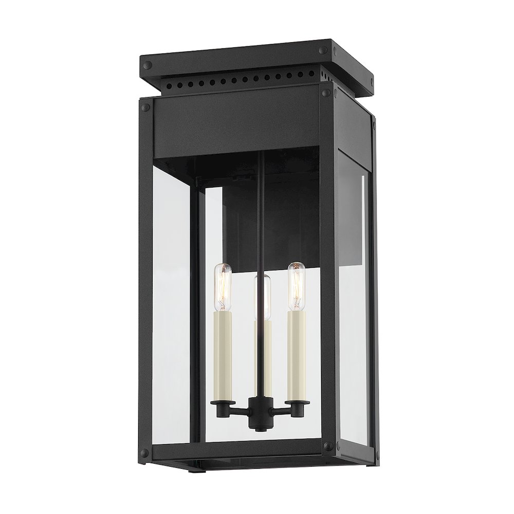 Braydan Exterior Wall Sconce, Texture Black. Picture 1