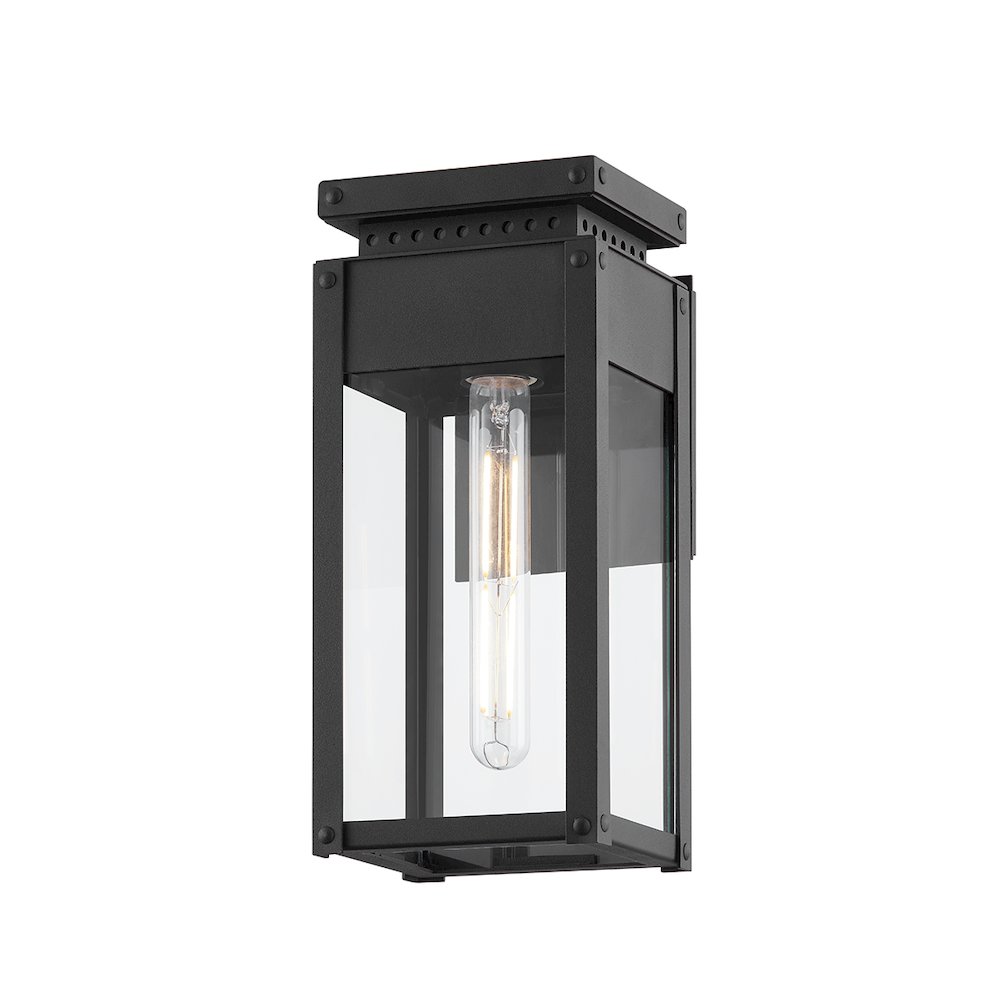 Braydan Exterior Wall Sconce, Texture Black. Picture 1