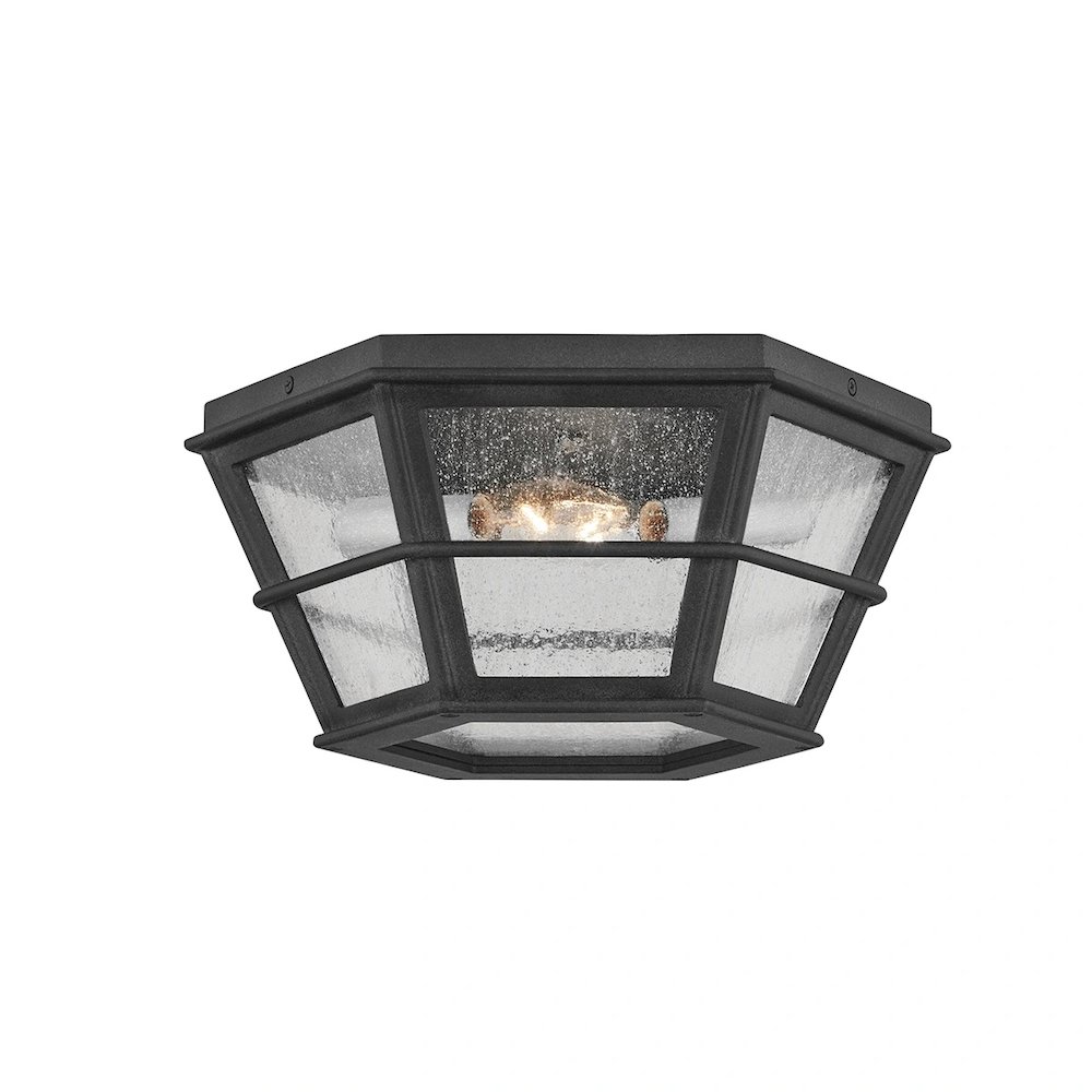 Lake County Flush Mount In French Iron Color. Picture 1