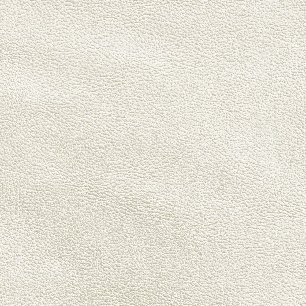Roundhill Cream Vegan Leather Upholstered Counter Stool. Picture 6