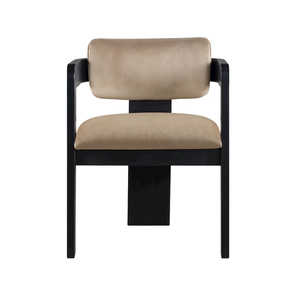 Sacha Beige Velvet Dining Chair, Set of 2. Picture 3