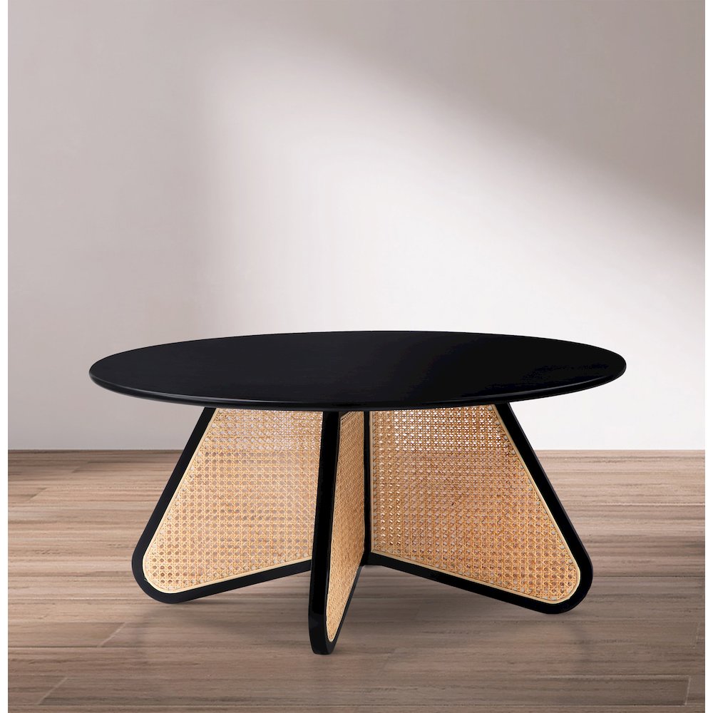 Butterfly Coffee Table. Picture 2