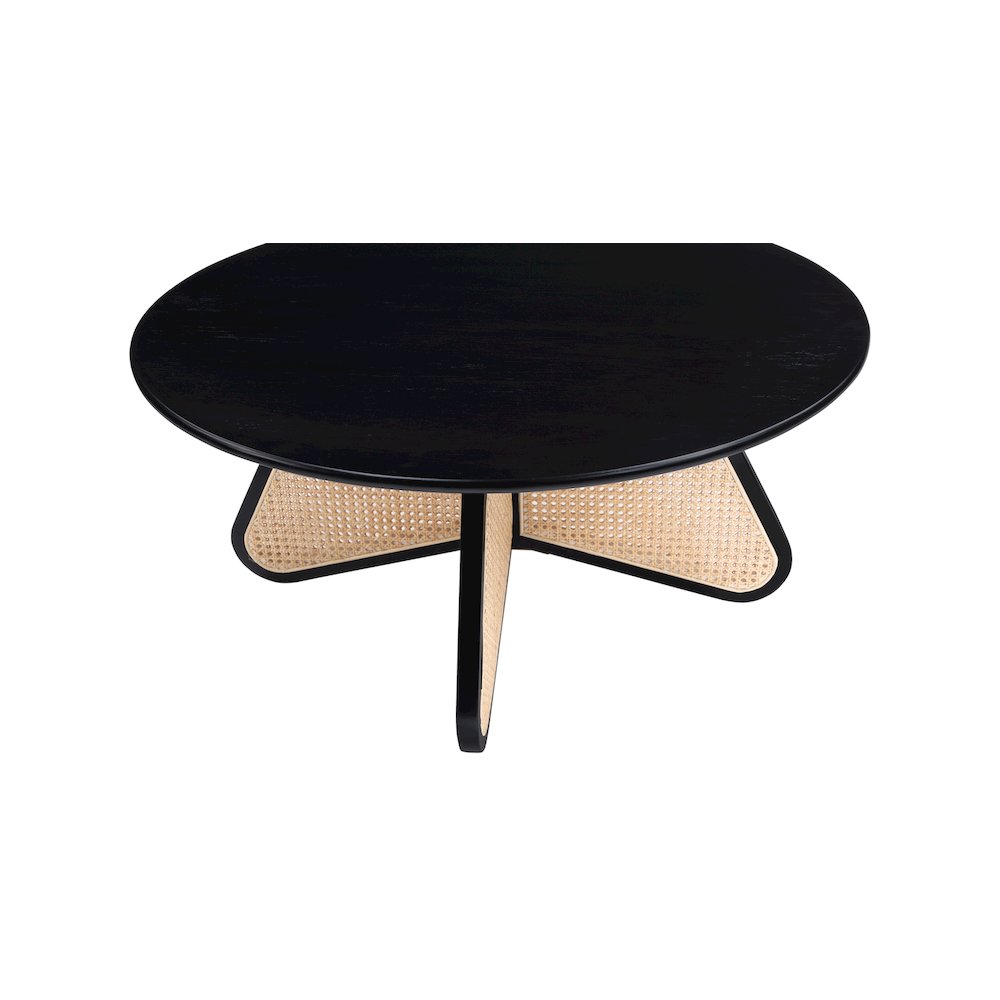 Butterfly Coffee Table. Picture 4
