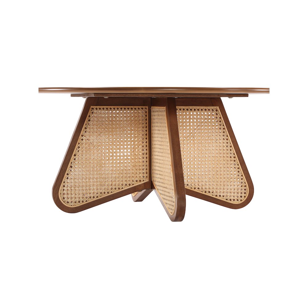 Butterfly Coffee Table. Picture 4