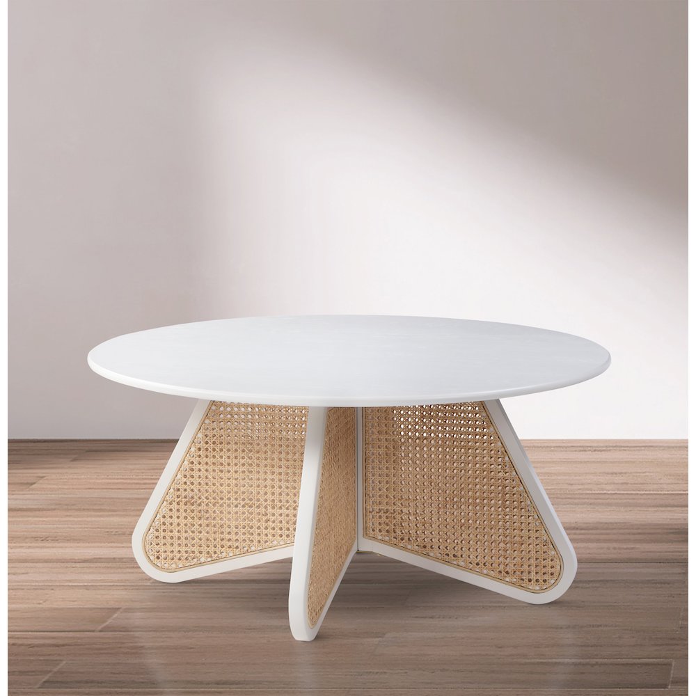 Butterfly Coffee Table. Picture 2