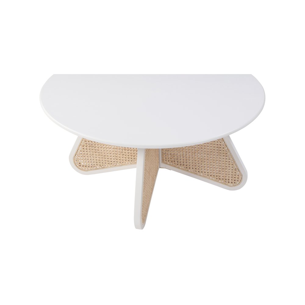 Butterfly Coffee Table. Picture 4