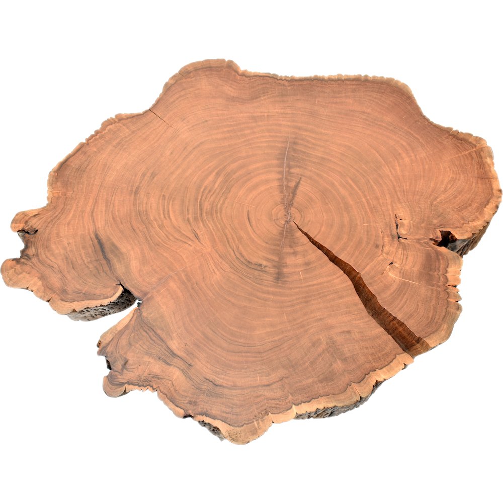 Woodland Natural Wood Coffee Table. Picture 5