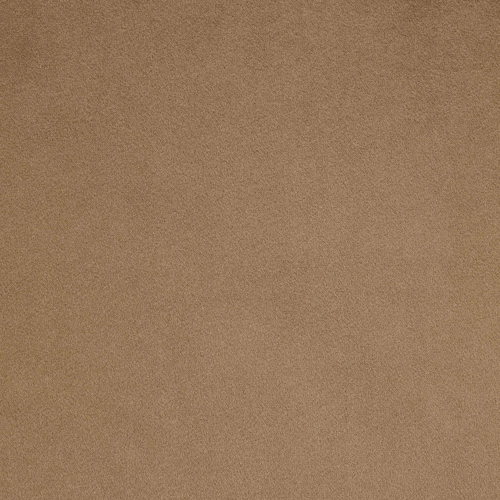 Austin Beige Velvet Loveseat. Picture 5