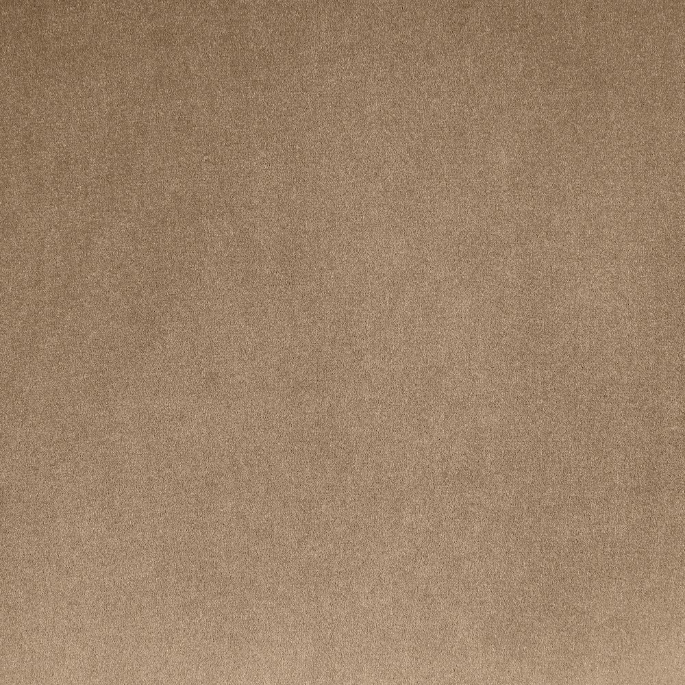 Emery Beige Velvet Loveseat. Picture 5