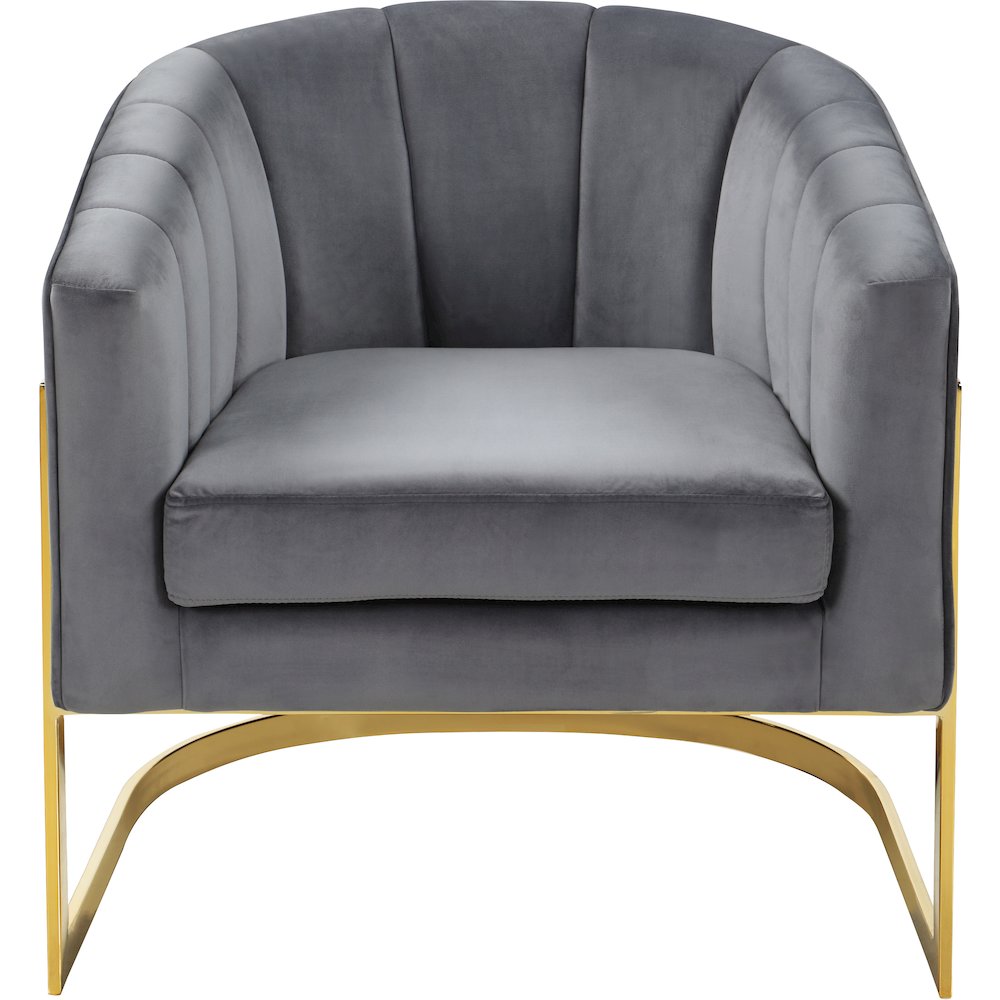 Carter Grey Velvet Accent Chair. Picture 3