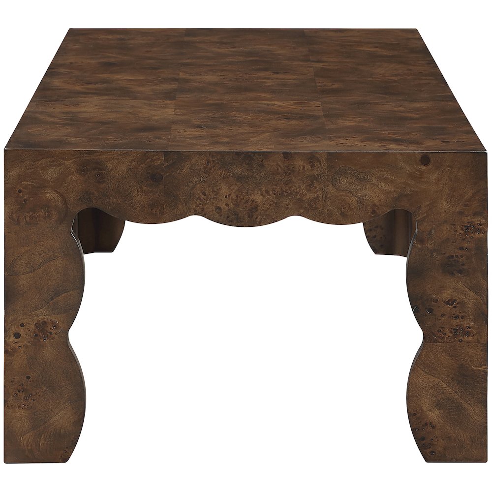 Vassa Brown Burl Veneer Coffee Table. Picture 8