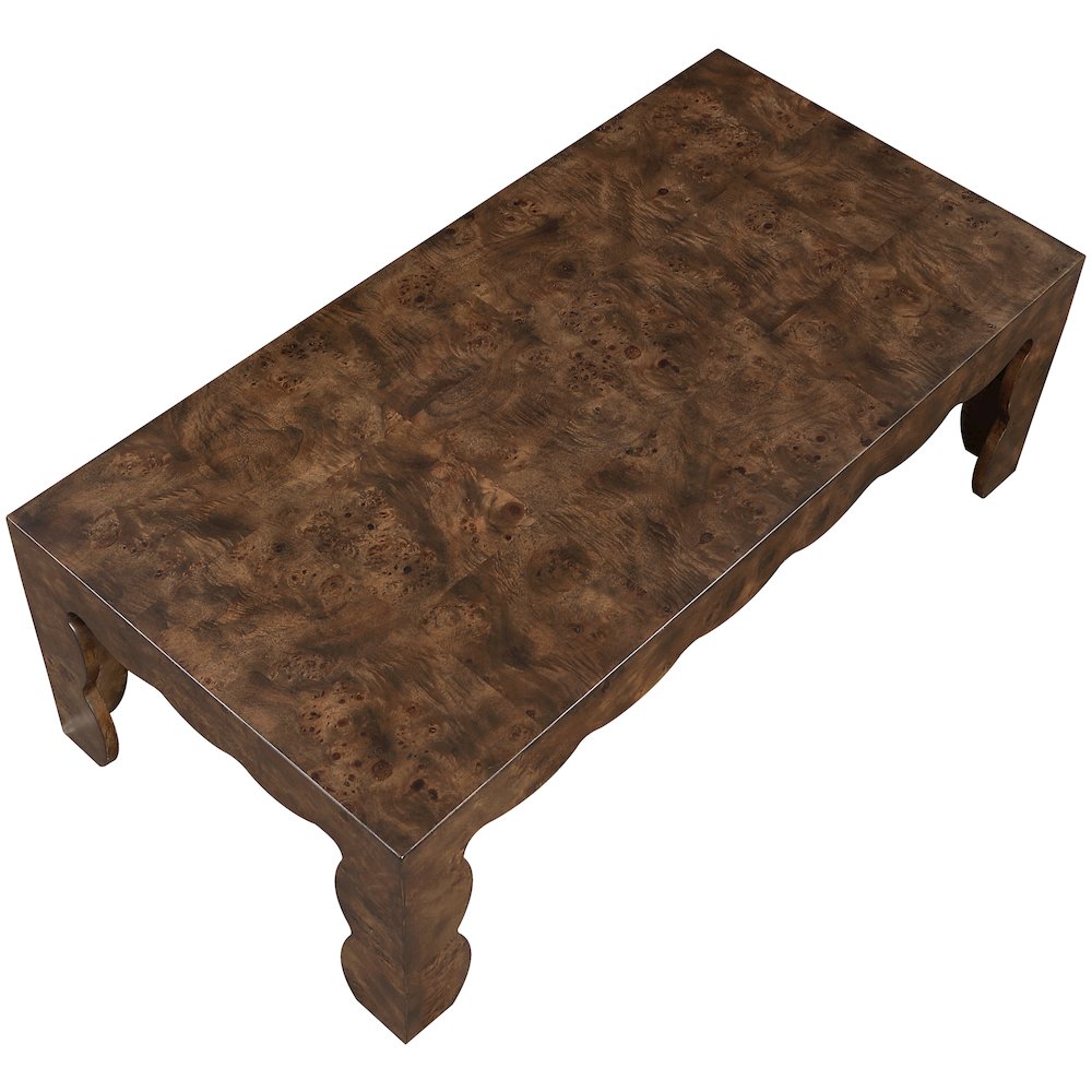 Vassa Brown Burl Veneer Coffee Table. Picture 4