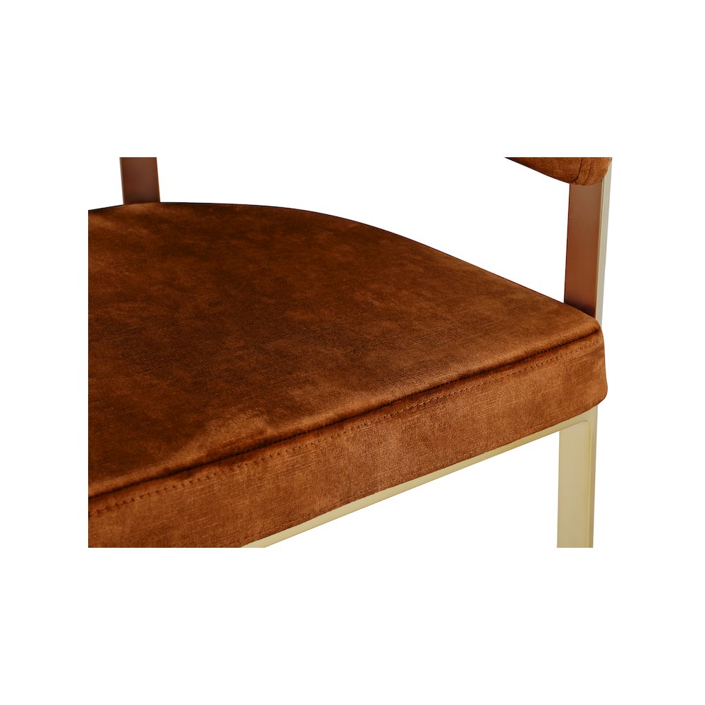 Marcello Cognac Velvet Dining Chair, Set of 2. Picture 5