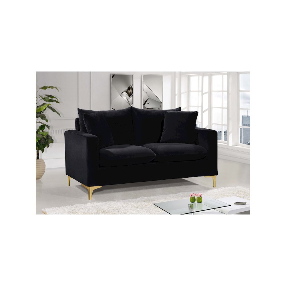 Naomi Black Velvet Loveseat. Picture 2