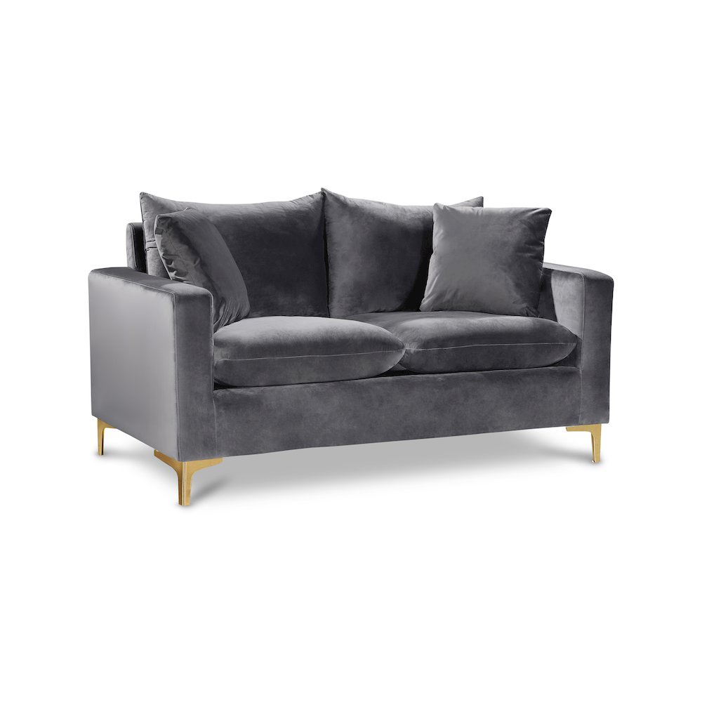 Naomi Grey Velvet Loveseat. Picture 1