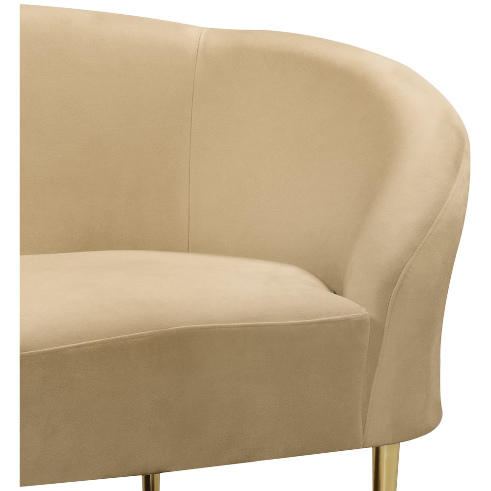Ritz Camel Velvet Chair. Picture 4