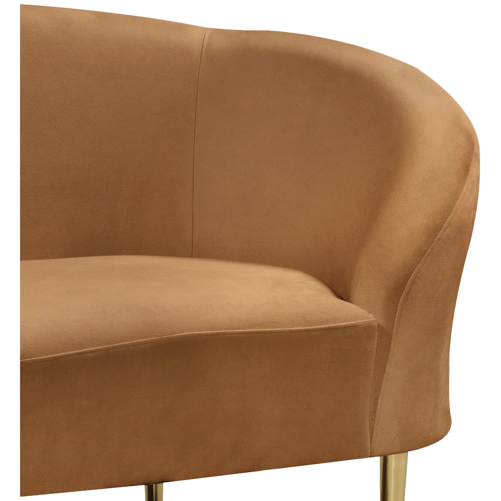 Ritz Saddle Velvet Chair. Picture 4