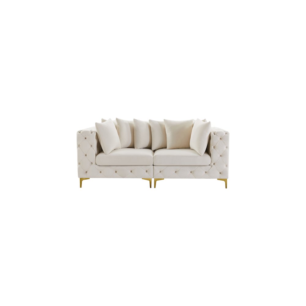 Tremblay Cream Velvet Modular Sofa. Picture 4