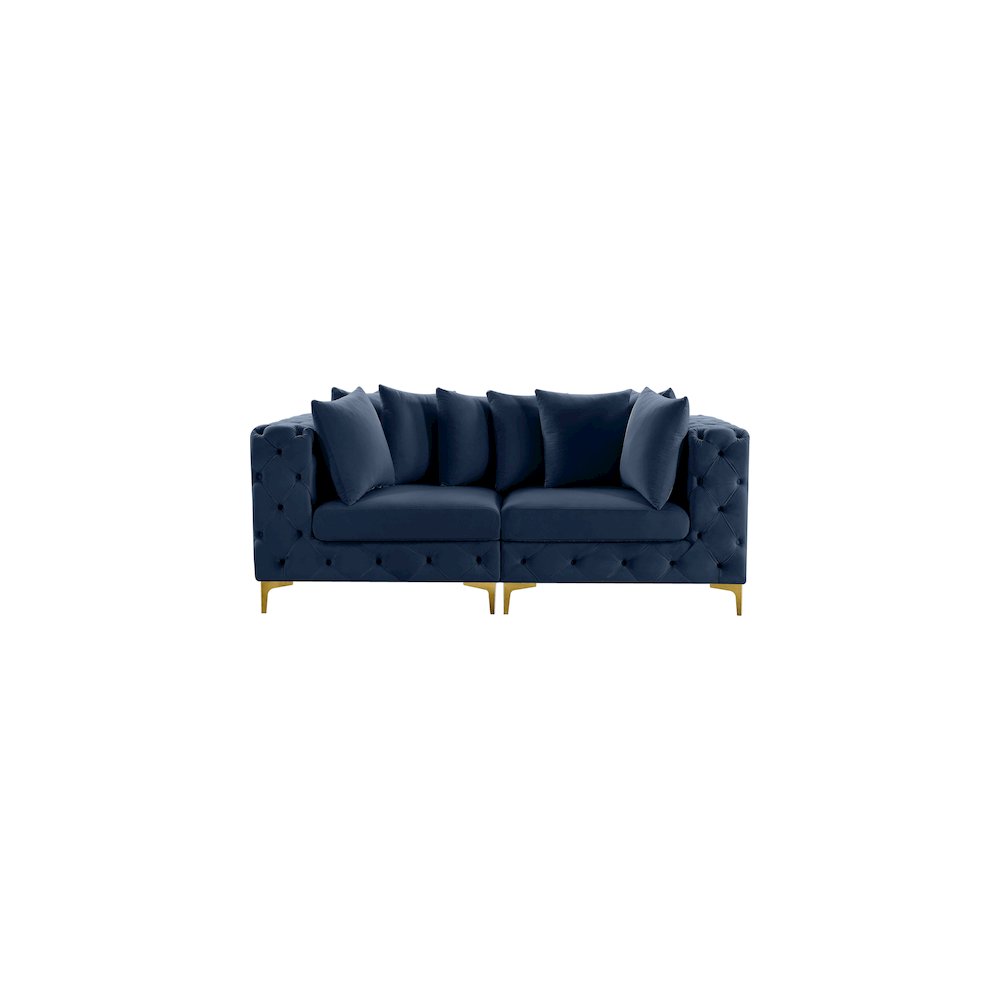Tremblay Navy Velvet Modular Sofa. Picture 4