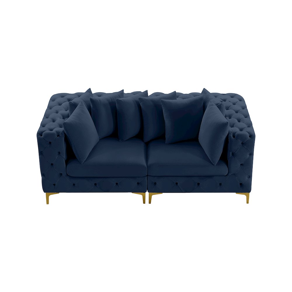 Tremblay Navy Velvet Modular Sofa. Picture 6