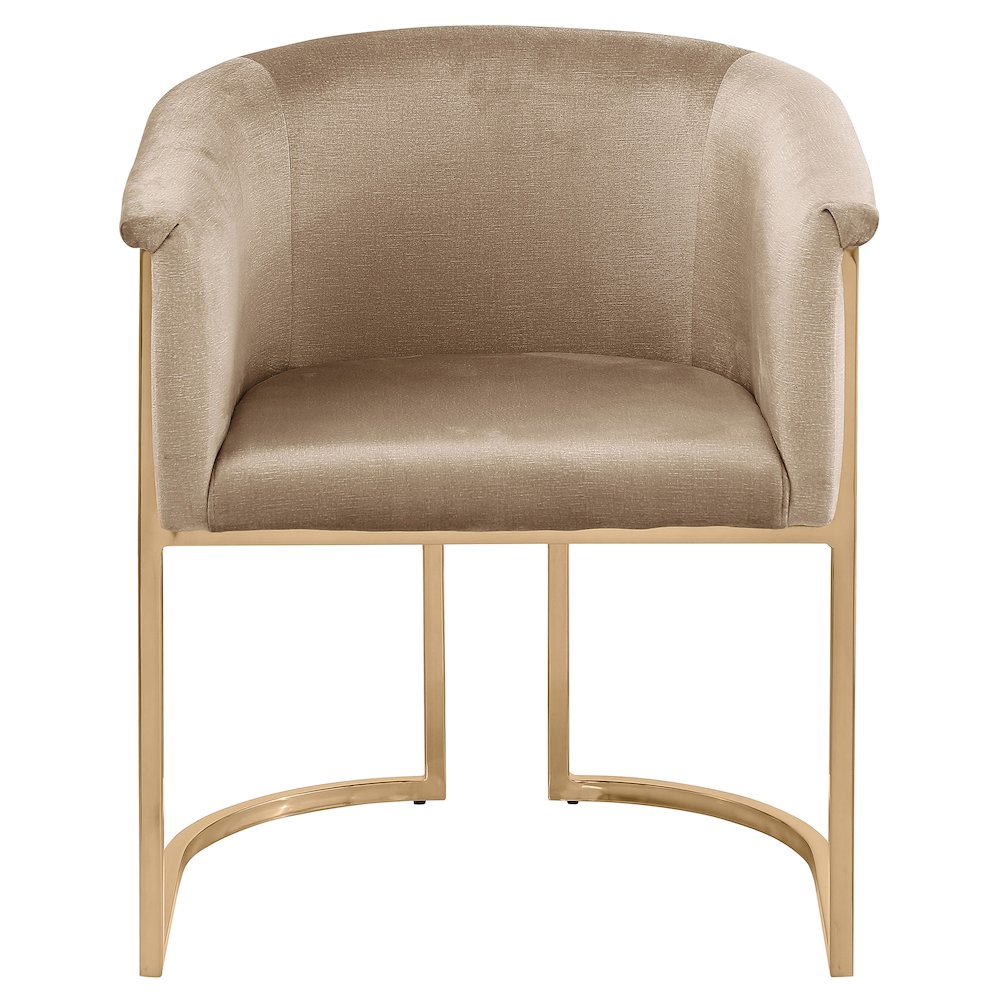 Tierra Beige Velvet Dining Chair. Picture 3