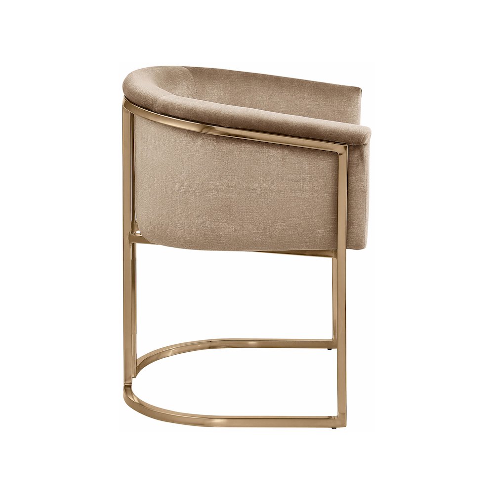 Tierra Beige Velvet Dining Chair. Picture 4