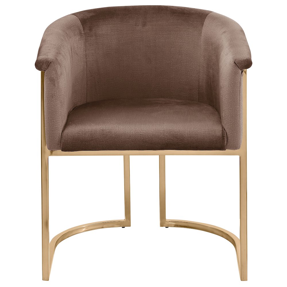 Tierra Brown Velvet Dining Chair. Picture 3
