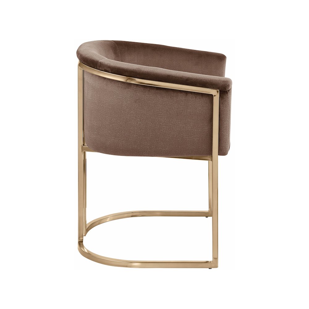 Tierra Brown Velvet Dining Chair. Picture 4