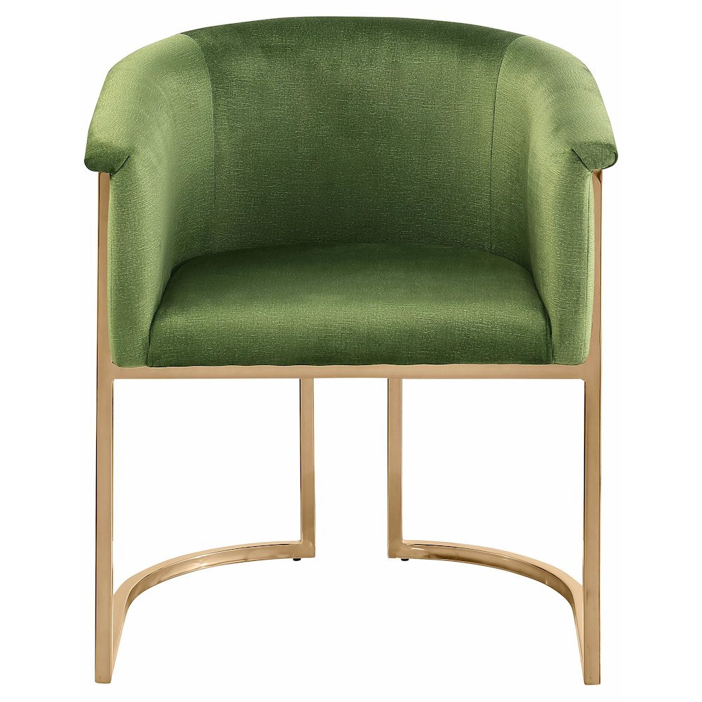 Tierra Olive Velvet Dining Chair. Picture 3