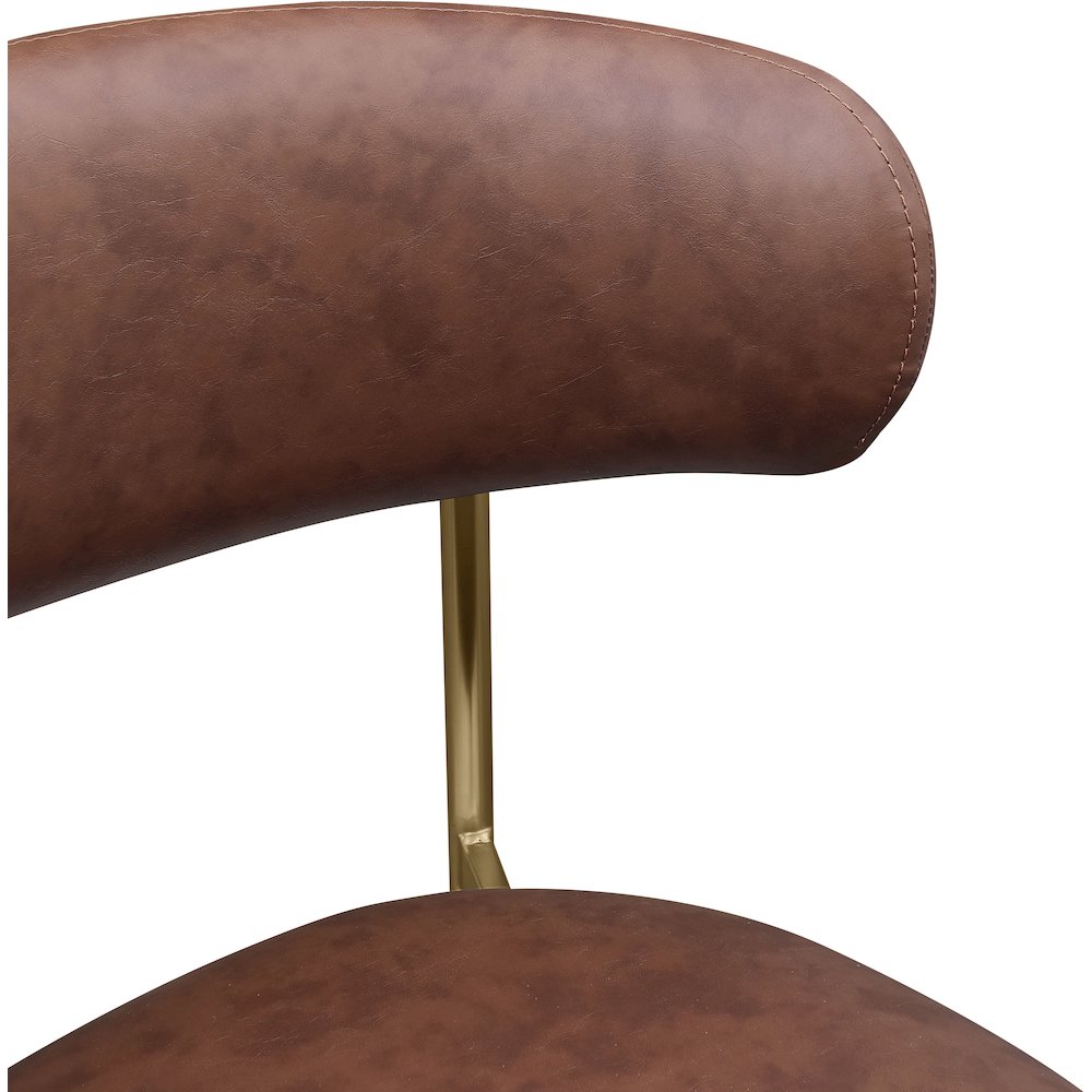 Lupita Brown Vegan Leather Dining Chair, Set of 2. Picture 5