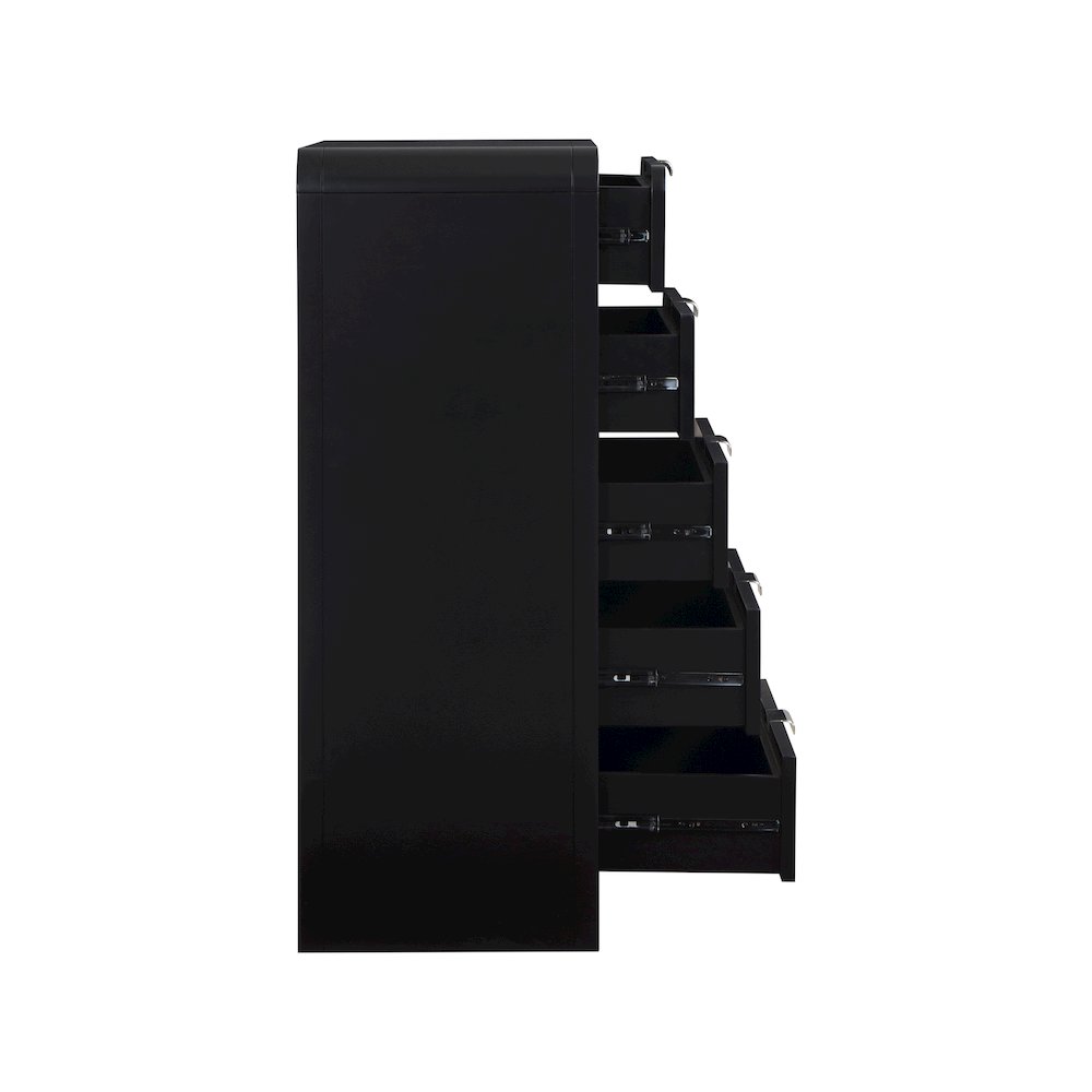 Sage Black Chest. Picture 6
