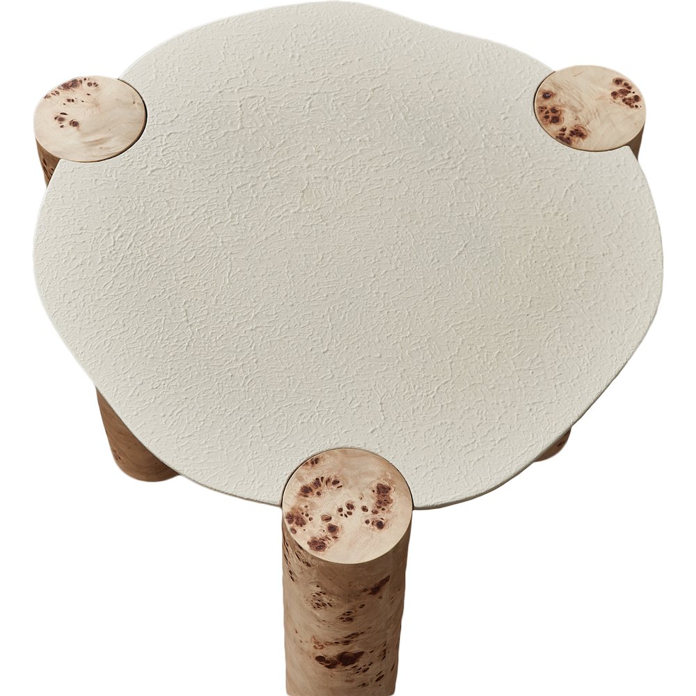 Thor Natural Burl Wood End Table. Picture 2