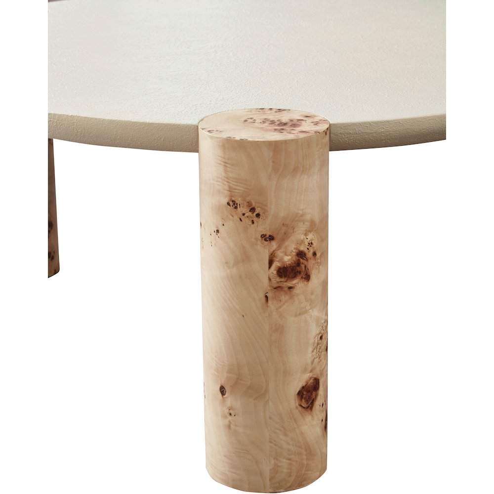Thor Natural Burl Wood Coffee Table. Picture 3