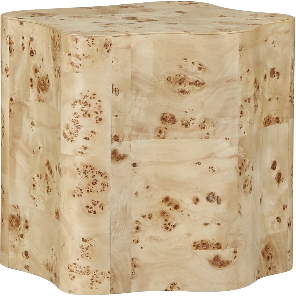 Zaire Natural Burl Wood End Table. Picture 2