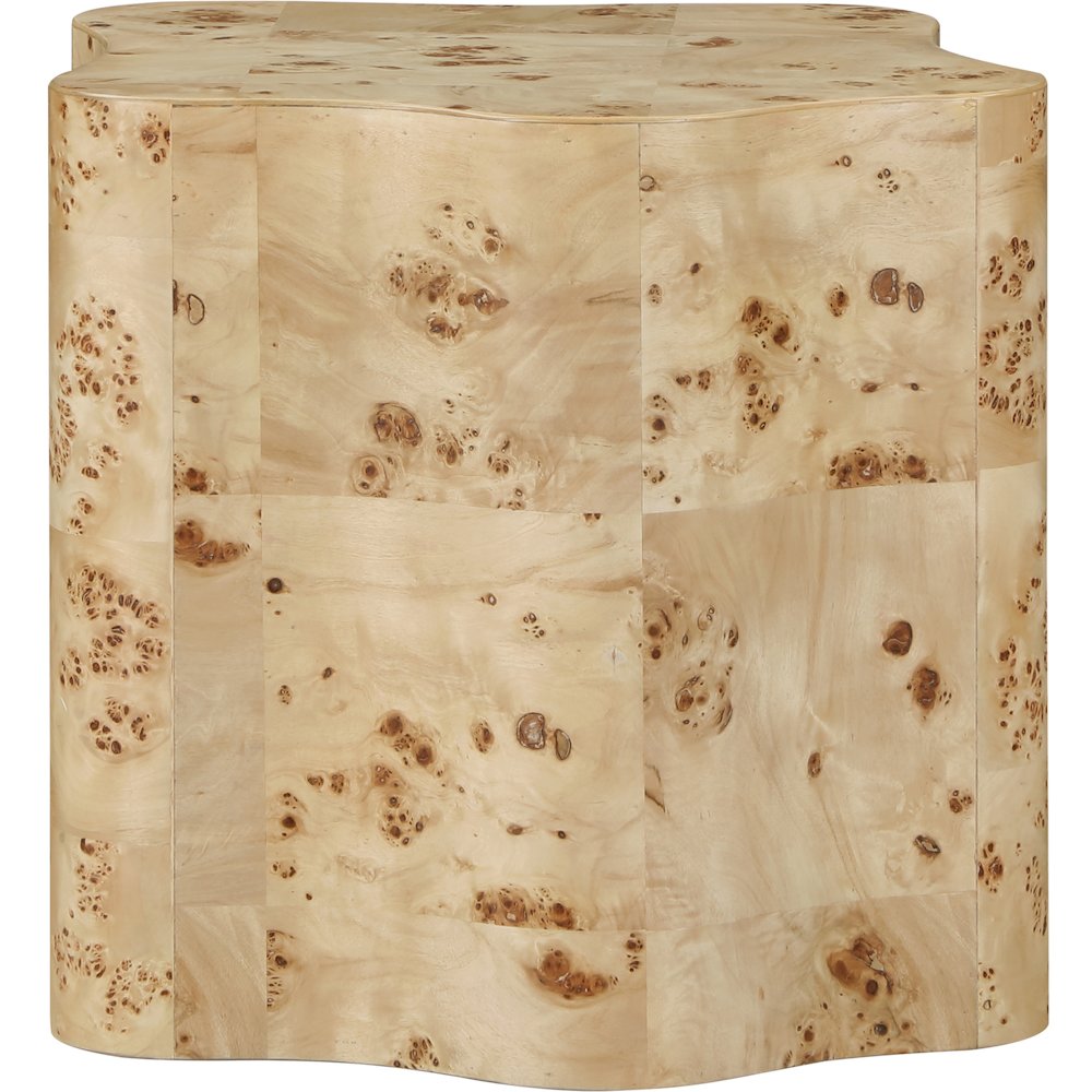 Zaire Natural Burl Wood End Table. Picture 3