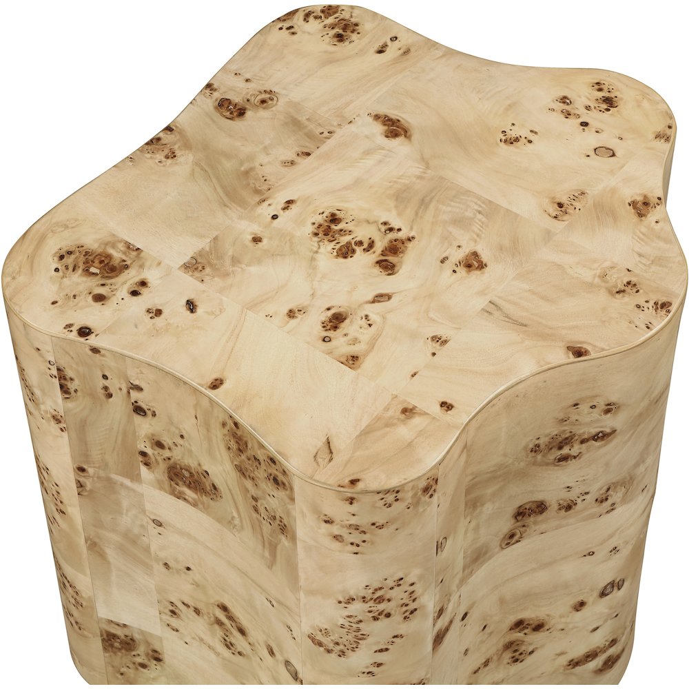 Zaire Natural Burl Wood End Table. Picture 5
