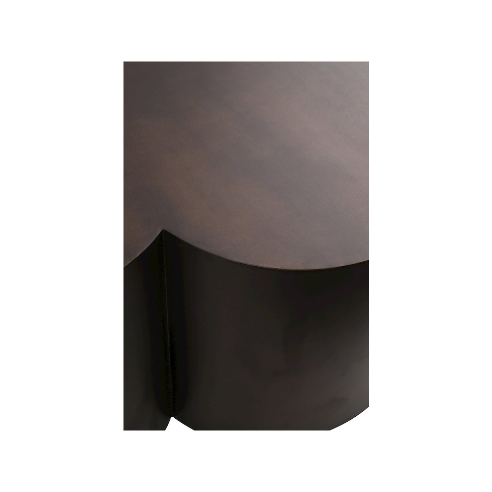 Lucky Brown Iron Coffee Table. Picture 5
