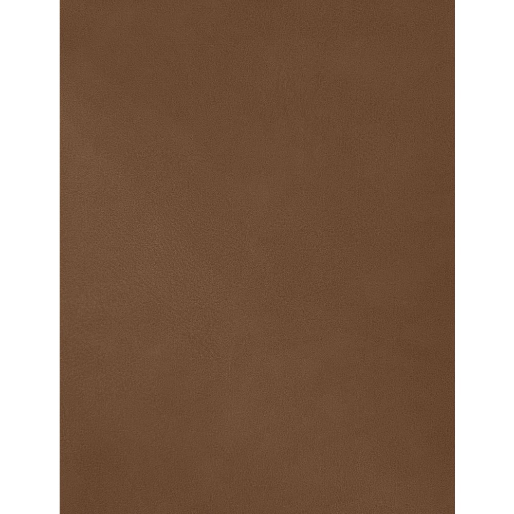 Hudson Cognac Vegan Leather Twin Trundle Bed. Picture 7