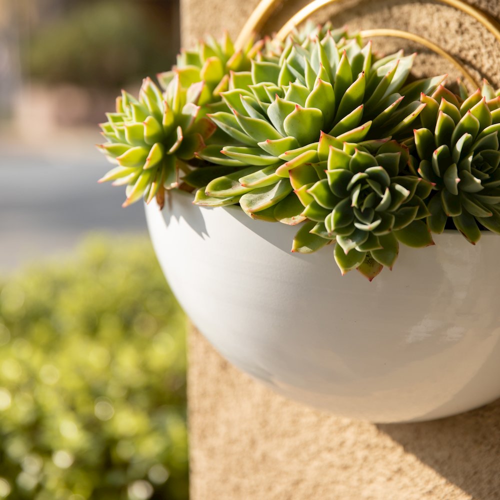 Crescent 3-Piece Metal Wall Planter Set - White with Gold Detail. Picture 7